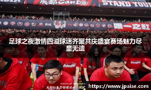 足球之夜激情四溢球迷齐聚共庆盛宴赛场魅力尽显无遗