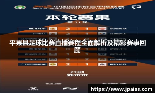 平果县足球比赛直播赛程全面解析及精彩赛事回顾